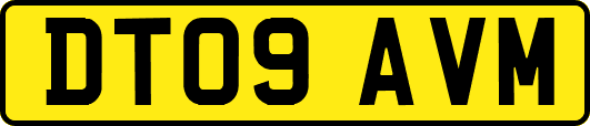 DT09AVM