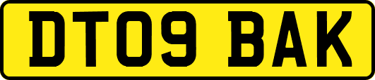 DT09BAK