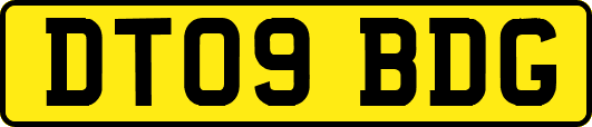 DT09BDG
