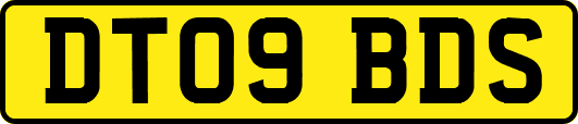 DT09BDS