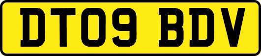DT09BDV