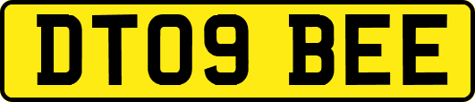 DT09BEE