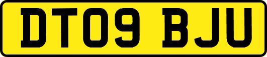 DT09BJU