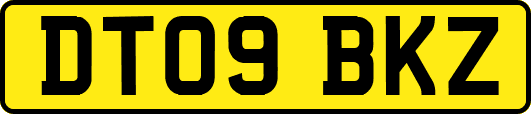 DT09BKZ