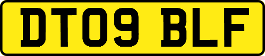DT09BLF