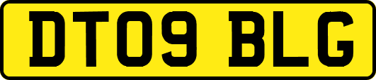 DT09BLG