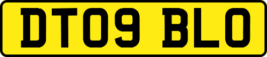 DT09BLO