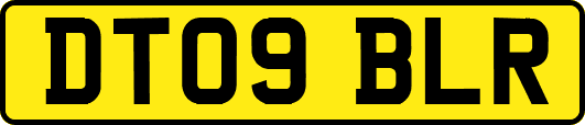 DT09BLR