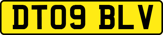 DT09BLV