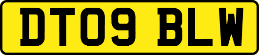 DT09BLW