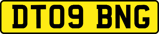 DT09BNG