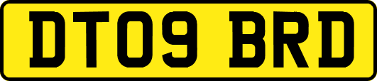 DT09BRD