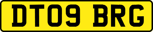 DT09BRG