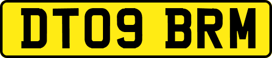 DT09BRM
