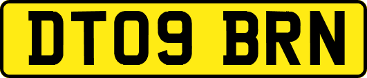 DT09BRN