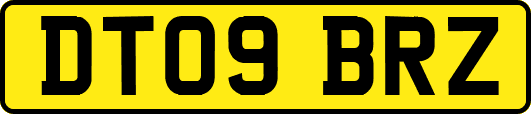 DT09BRZ