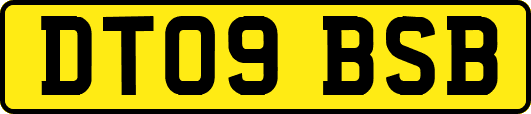 DT09BSB