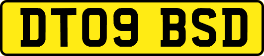 DT09BSD