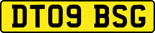 DT09BSG