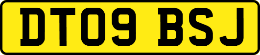 DT09BSJ