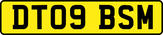 DT09BSM