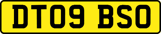 DT09BSO