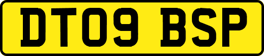 DT09BSP