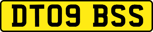 DT09BSS