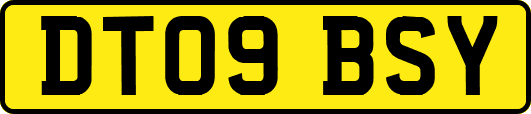 DT09BSY