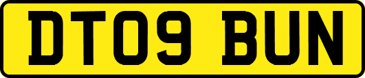 DT09BUN