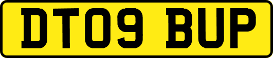 DT09BUP