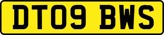 DT09BWS