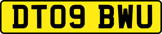 DT09BWU
