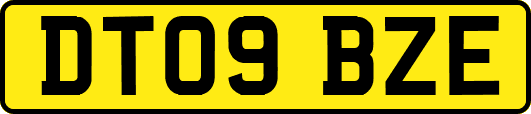 DT09BZE