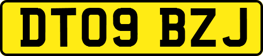 DT09BZJ