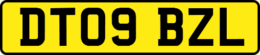 DT09BZL