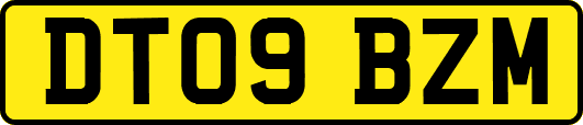 DT09BZM