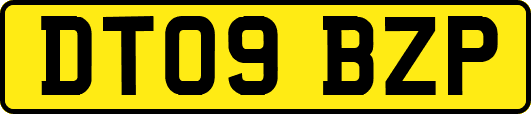 DT09BZP