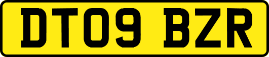 DT09BZR