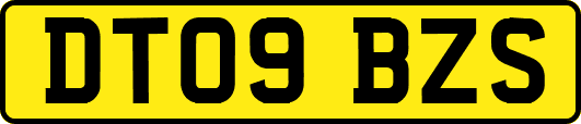 DT09BZS