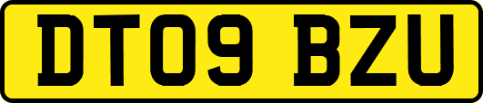 DT09BZU