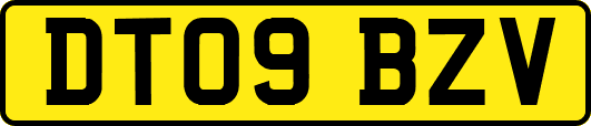 DT09BZV
