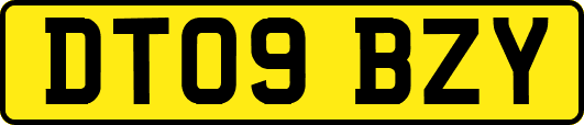 DT09BZY