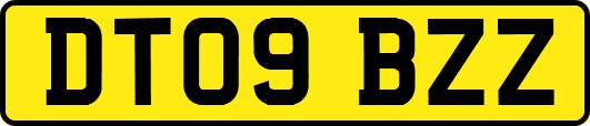 DT09BZZ