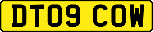DT09COW