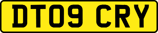 DT09CRY