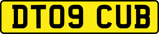 DT09CUB