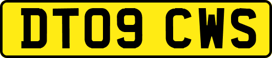 DT09CWS