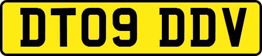 DT09DDV