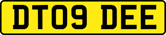 DT09DEE
